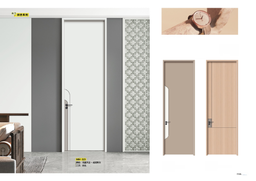 Durable contemporary doors for enhanced security and style