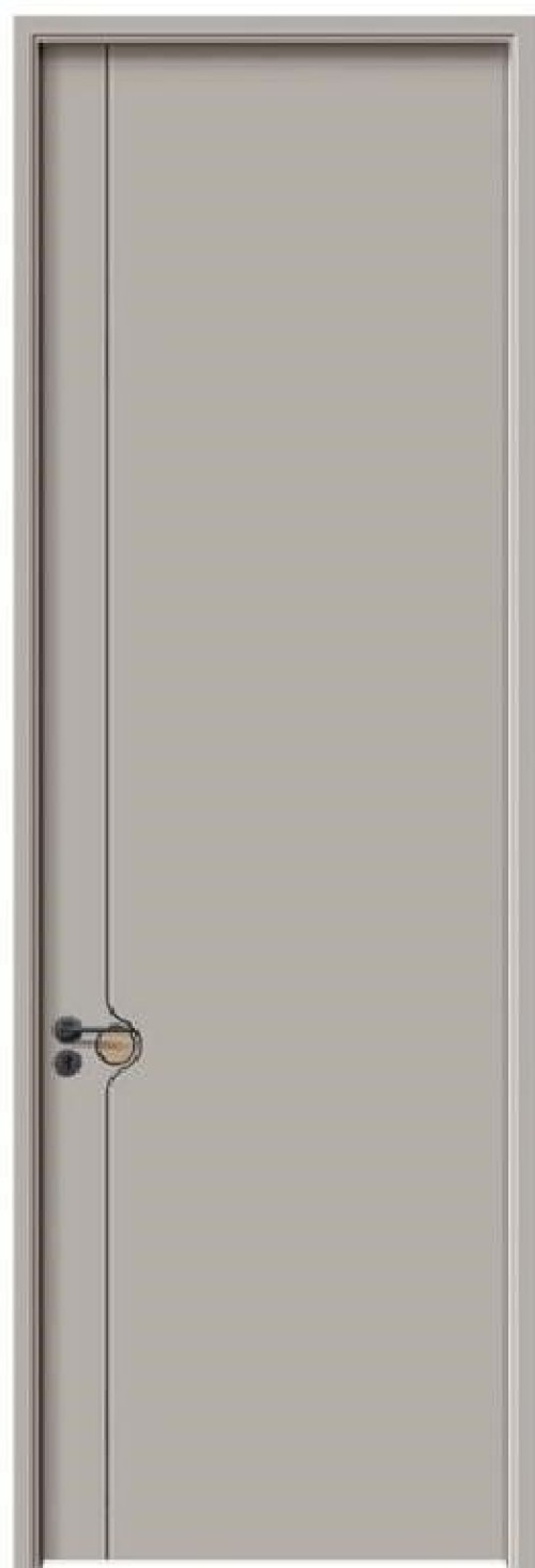 Durable contemporary doors for enhanced security and style